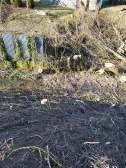 Odstránenie porastov a drevín z koryta miestneho potoka